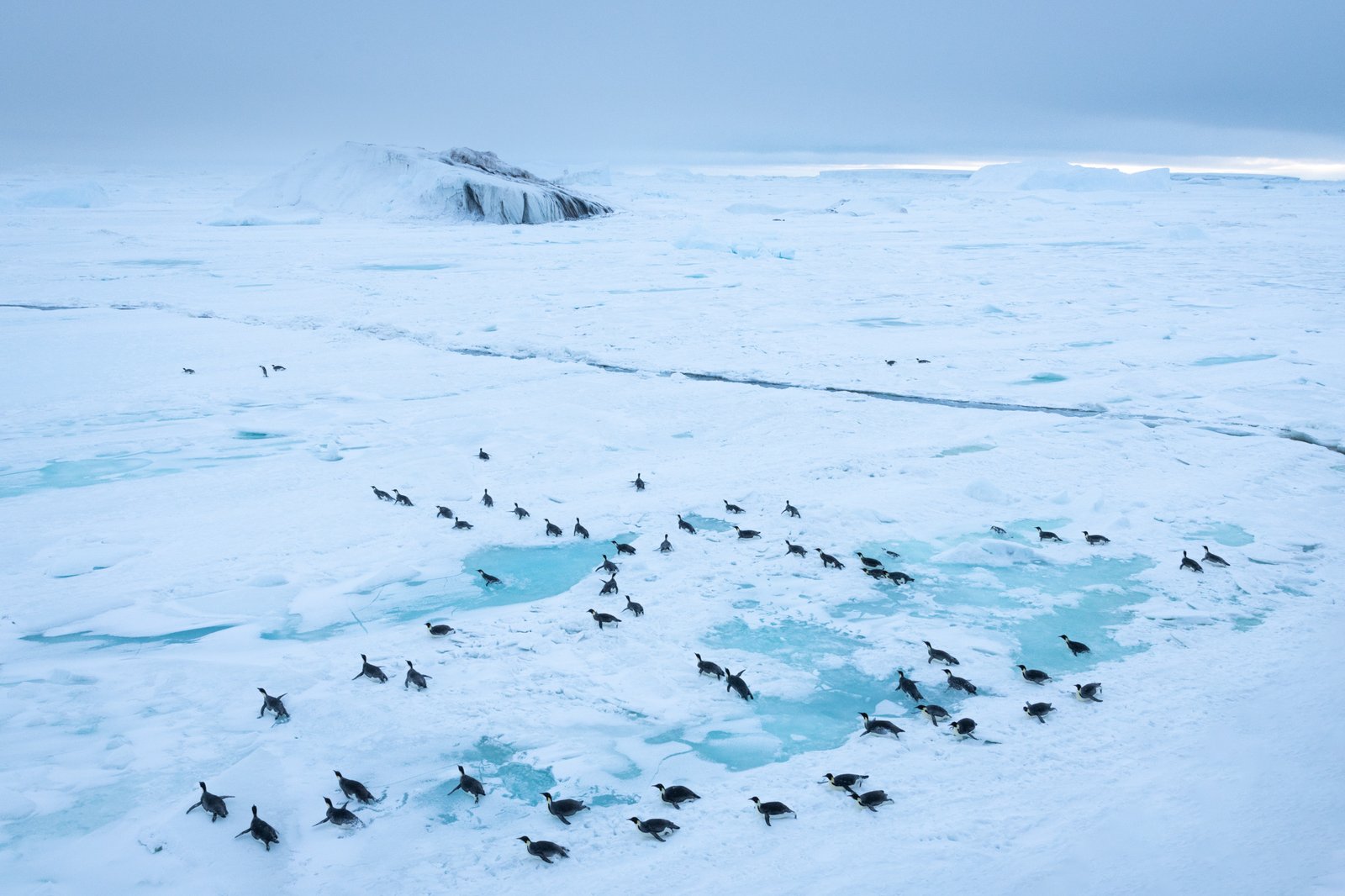 Snow Hill, Antarctique