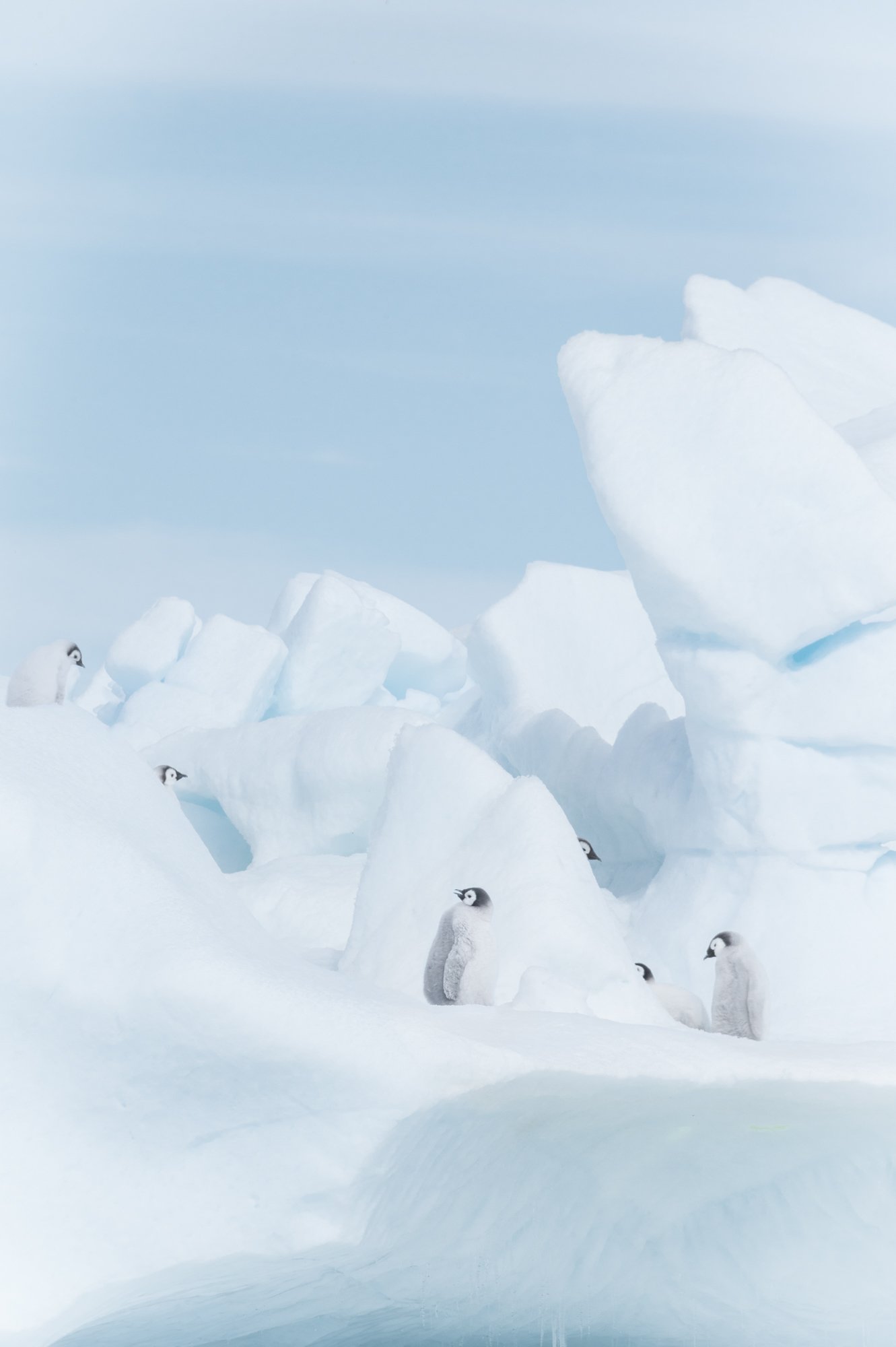 Snow Hill, Antarctique